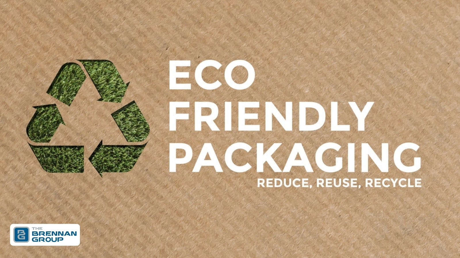 Eco-Friendly Food Packaging Solution