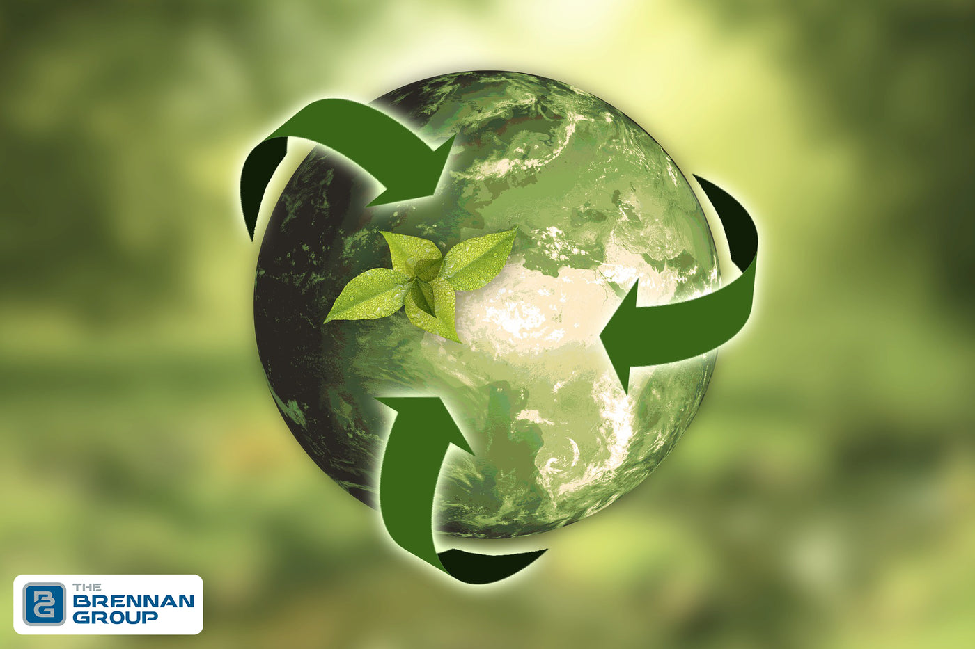 The Importance of Correct Food Waste Disposal
