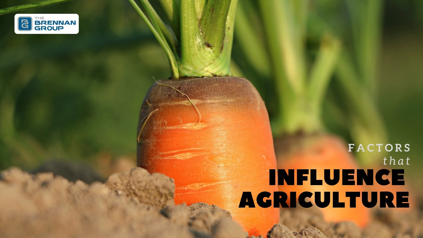 Influential Factors of Agriculture in Ireland
