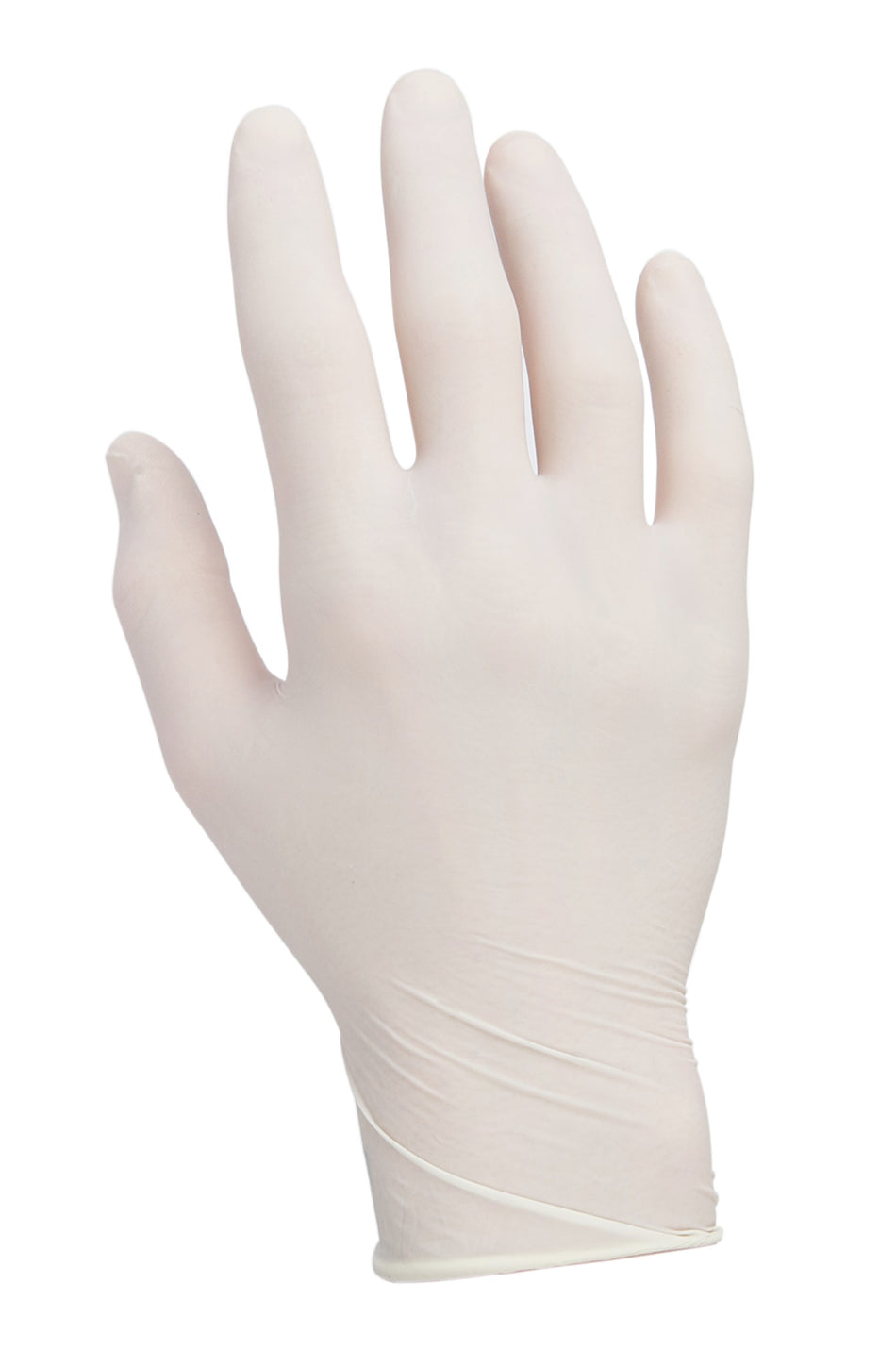 Latex Glove Powder-free